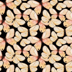 Fototapeta premium Watercolor tropic exotic butterfly seamless pattern. Spring background with butterfy for textile, wallpaper, greeting cards