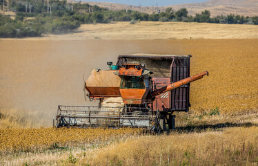 Harvesting, the harvester machine is harvesting, plowing the land. Industrial farming and farming....