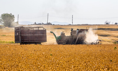 Harvesting, the harvester machine is harvesting, plowing the land. Industrial farming and farming....