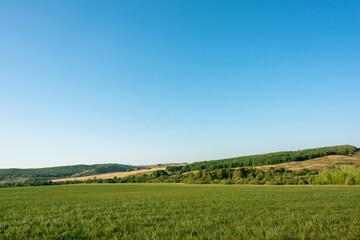 Green field, hills and trees. Scenery.