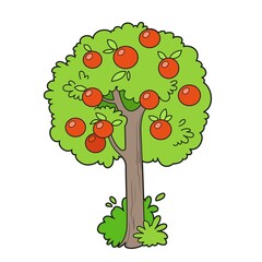 Tree with apples in the crown color variation for coloring page on white background