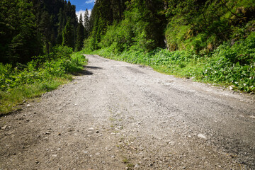 Amazing summer nature of Gosausee Vorderer lake with Dachstein glacieron background. Beauty of nature concept background.