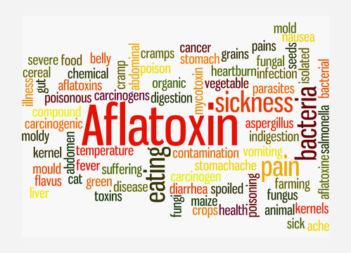 Word Cloud with AFLATOXIN concept, isolated on a white background