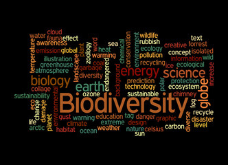 Word Cloud with BIODIVERSITY concept, isolated on a black background