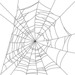 Obraz premium Big sloppy web outlined on white background.