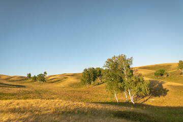 Landscape of hills and trees.