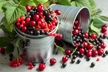 Cherries, red and black currants in a small metal bucket.