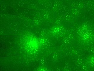 Imaginatory fractal abstract background Image