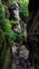 Hiking trail through a damp mossy rocky gorge, Saxony, Germany