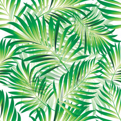 Palm. Seamless pattern with branches and leaves of tropical plants.Vector image. 