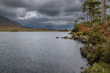 Pine Island in Connemara, destination in a island