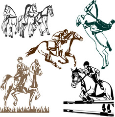 vector illustration. Horse. Horseback riding. Jockey. Illustration.
