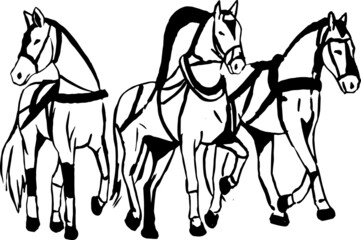 Fototapeta na wymiar vector illustration. Horse. Horseback riding. Jockey. Illustration. 