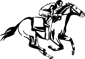 vector illustration. Horse. Horseback riding. Jockey. Illustration.
