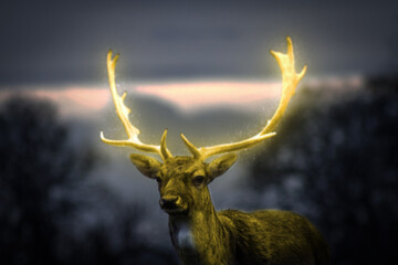  mystical deer