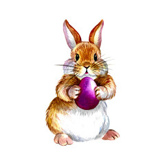 Easter bunny with egg isolate on white background.
