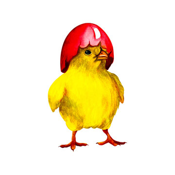 Easter chicken with an egg shell on its head.