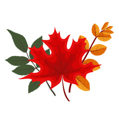 Naklejka premium Autumn Falling Leaves Icon Isolated on White Background. Illustration