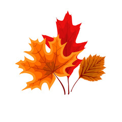Autumn Falling Leaves Icon Isolated on White Background. Illustration