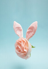 Creative Easter concept with Bunny rabbit ears headband and rose flower on pastel blue background....