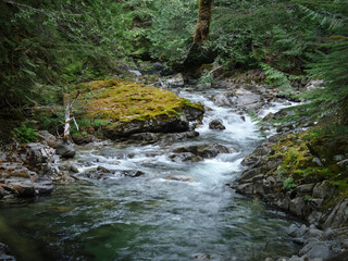 Landscape long exposure of mountain river with moss covered rocks in the PNW