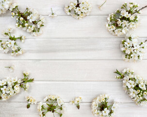 Fototapeta na wymiar White flowers cherry tree on white wooden planks background with space for text. Top view, flat lay. Spring flowers