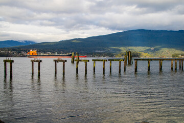 Atracadouro abandonado e velho usado por aves marinhas para descansar, a beira mar