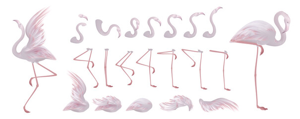 Vector flamingo collection, beautiful exotic tropical bird,  pink and coral red trendy colors, isolated on white. © Gluiki
