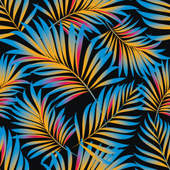 Palm. Seamless pattern with branches and leaves of tropical plants.Vector image. 
