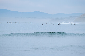 Naklejka premium Surfing the Waves early in the morning at dawn