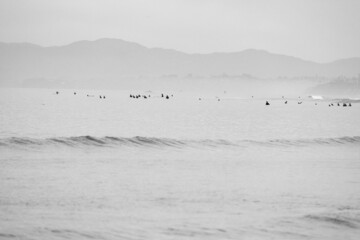 Surfers Read the Waves 