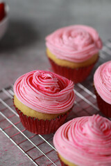 close up of vanilla muffins decorated with pink buttercream frosting on top in red baking cups, on grey marble table and white stone wall