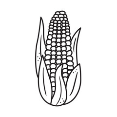 Black outline corn icon. Hand drawn drawing. Sketch vegetable illustration. Doodle silhouette of harvest element