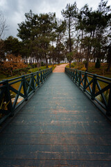 Obraz premium wooden bridge over the river in the park
