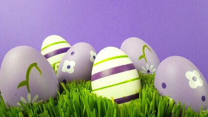 easter eggs are multicolored on the green natural grass. background background is trending very heri.