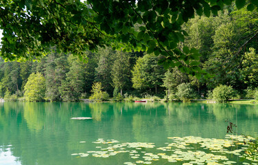 a scenic view of a boat resting on alpine lake Alatsee and the green trees reflected in its emerald-green water on a fine August day in Bad Faulenbach (Bavaria in Germany)	