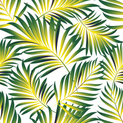 Palm. Seamless pattern with branches and leaves of tropical plants.Vector image. 