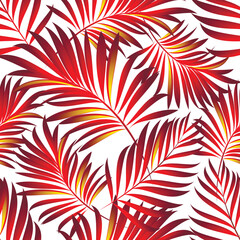Palm. Seamless pattern with branches and leaves of tropical plants.Vector image. 