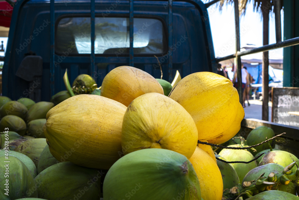 Sticker pile of fresh coconuts transported on a pick up truck for selling