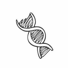 Fototapeta premium Medical doodle objects. Simple hand drawn dna molecule. Vector illustration.