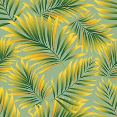 Palm. Seamless pattern with branches and leaves of tropical plants.Vector image. 