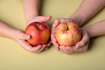 juicy, fresh, red apples in the hands of a child