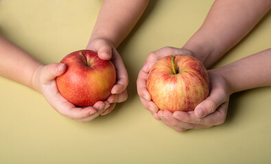 juicy, fresh, red apples in the hands of a child