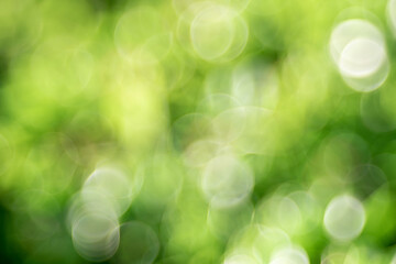 Spring background - abstract nature background with green blurred bokeh lights -