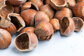 Fototapeta premium hazelnuts peeled from the shell