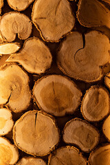 Structure of a tree in a section. Close-up. Side light accentuates the texture. warm yellow light in the sauna