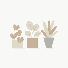 Plant Illustration with Neutral Color Palette