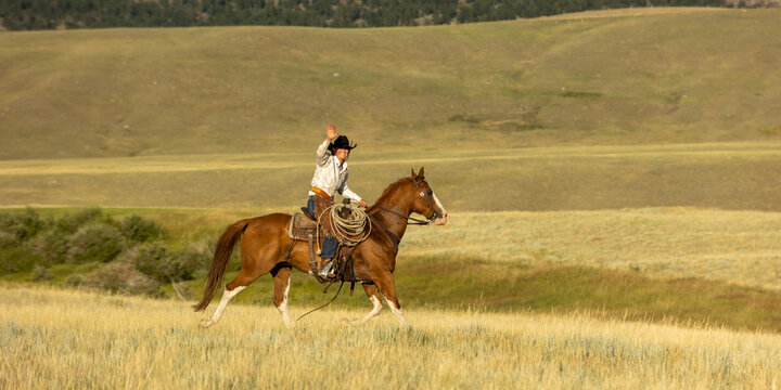 Wyoming Cowgirl