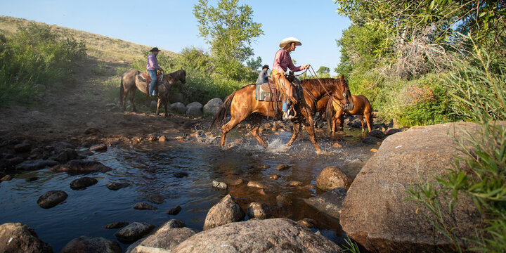 Horse Herd Crossing warer