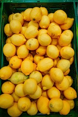 lemons in the market in lisbon portugal

